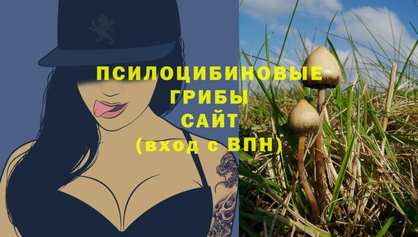 сатива Заволжск