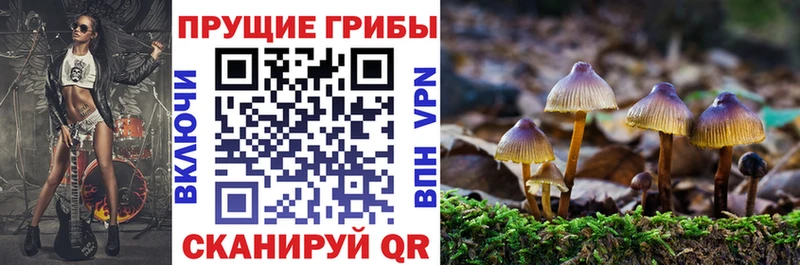 мега ссылки  Кедровый  Галлюциногенные грибы мухоморы 